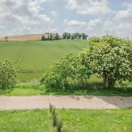 Modern Mansion In Tarn With Pool, Impressive Location 別荘 Rabastens